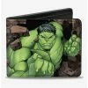 Budget 😉 Marvel Hulk Breaking Rocks Bifold Wallet 🎁